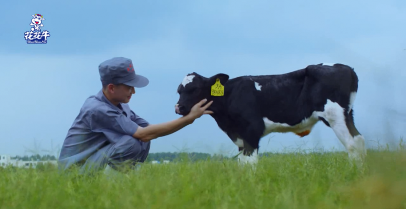 中國動物衛(wèi)生流調(diào)中心首席科學(xué)家范偉興一行蒞臨花花牛郟縣發(fā)展、魯山瑞亞參觀調(diào)研
