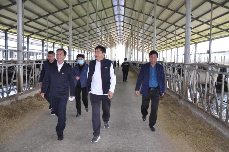 商丘市委常委、宣傳部部長(zhǎng)王全周一行蒞臨睢縣瑞亞牧業(yè)有限公司調(diào)研