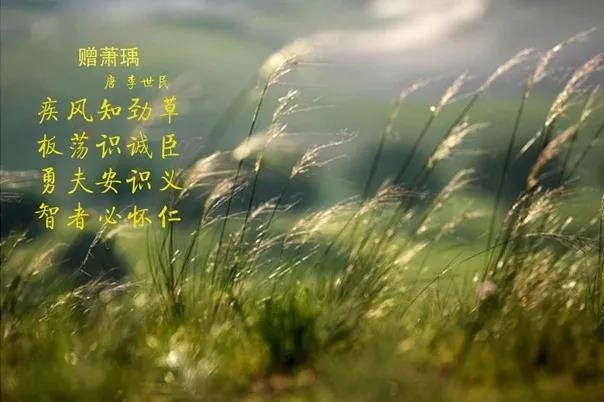 花花牛 | 疾風(fēng)來(lái)臨，你是不是勁草？